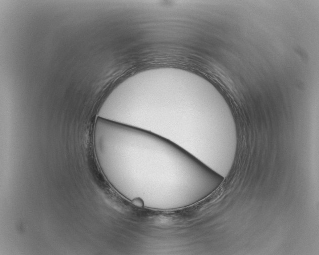 X0000116300412200911301018