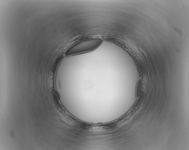 X0000116300413200911301018