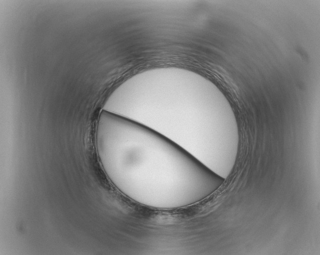 X0000116300416200911301018
