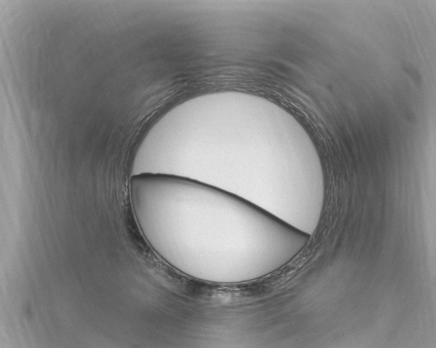 X0000116300420200911301018