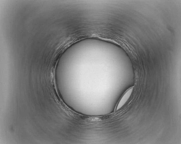 X0000116300427200911301018