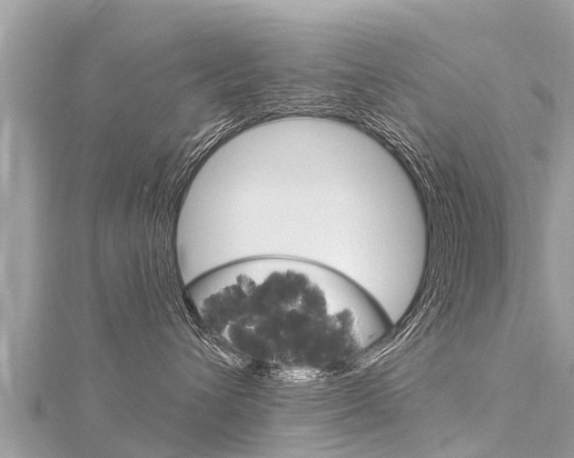 X0000116300432200911301018