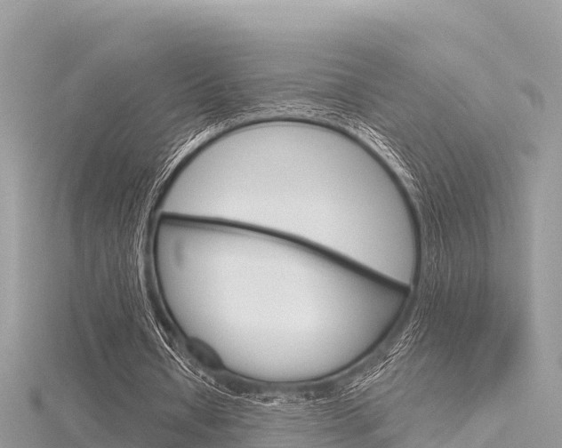 X0000116300434200911301017