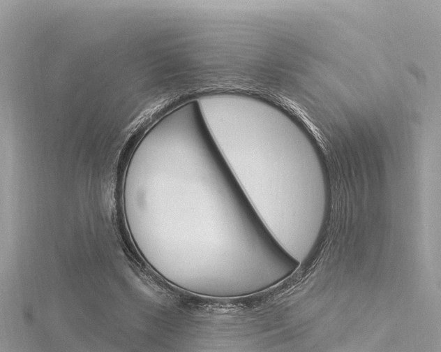 X0000116300443200911301017