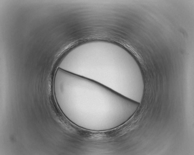 X0000116300446200911301017