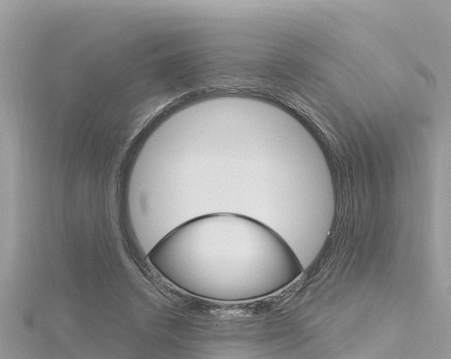 X0000116300448200911301017
