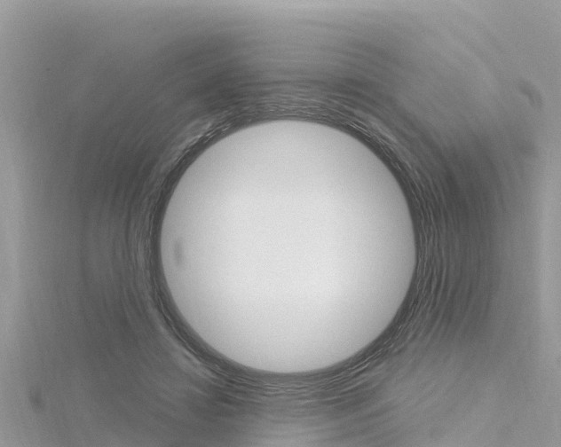 X0000116300452200911301017