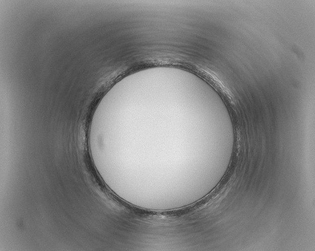 X0000116300453200911301017