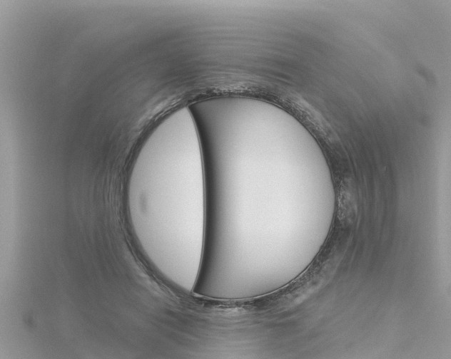 X0000116300454200911301017