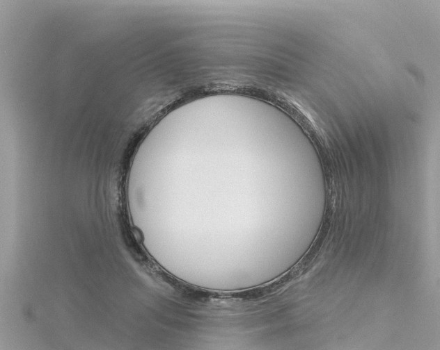 X0000116300455200911301017