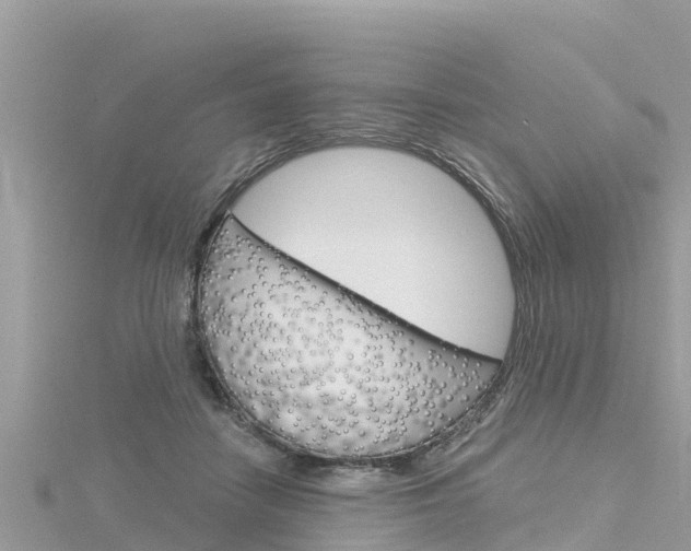 X0000116300458200911301017
