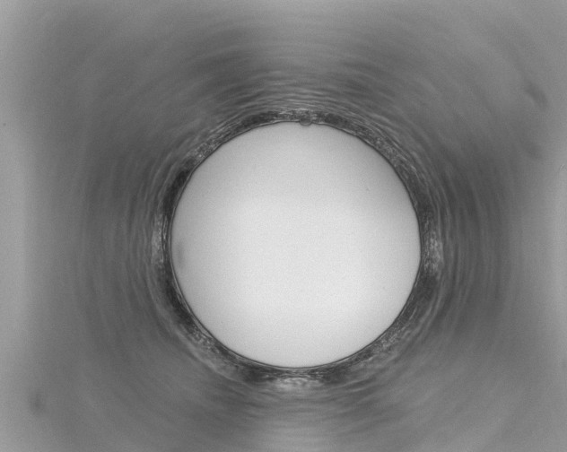 X0000116300468200911301017