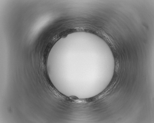 X0000116300477200911301018