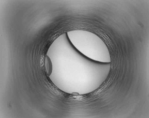 X0000116300478200911301018