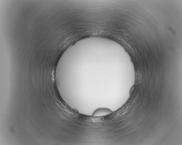 X0000116300479200911301018