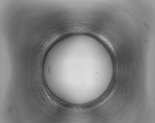 X0000116300481200911301017