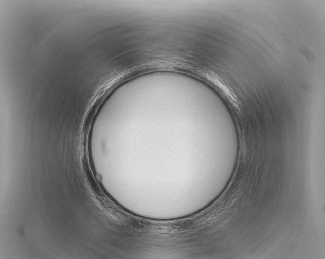 X0000116300486200911301017