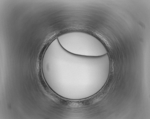 X0000116300494200911301017