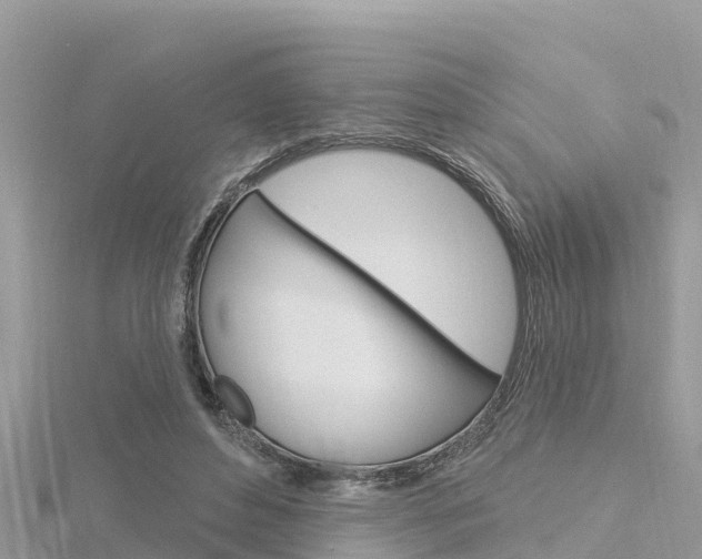 X0000116300496200911301017