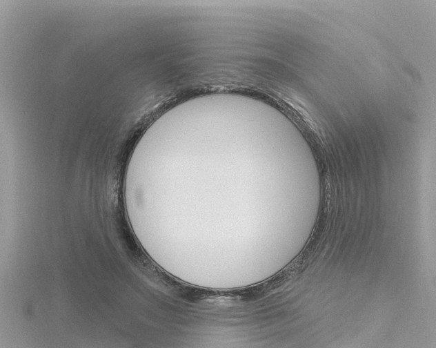 X0000116300499200911301017