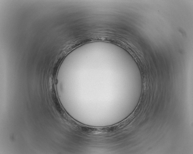 X0000116300504200911301017