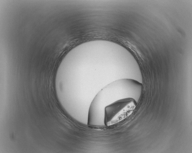 X0000116300509200911301017