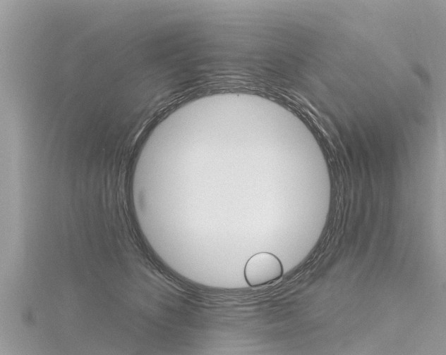 X0000116300516200911301017