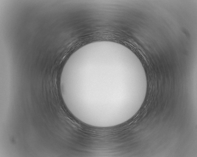 X0000116300520200911301017