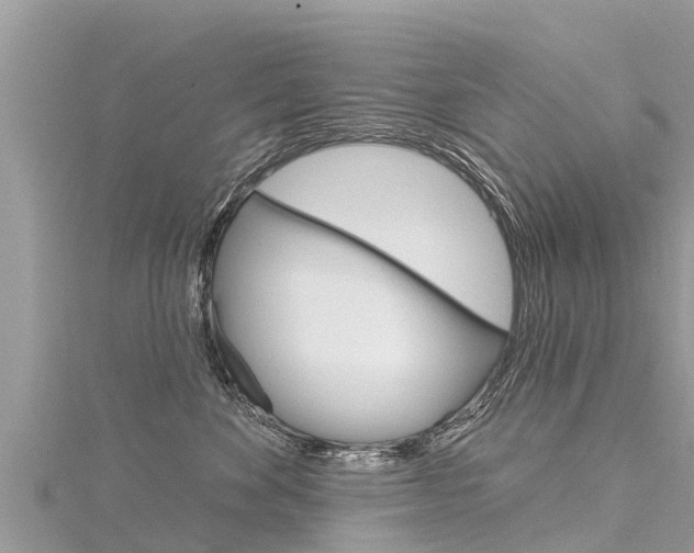 X0000116300524200911301016