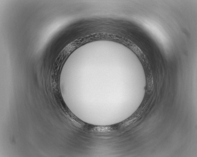 X0000116300526200911301016