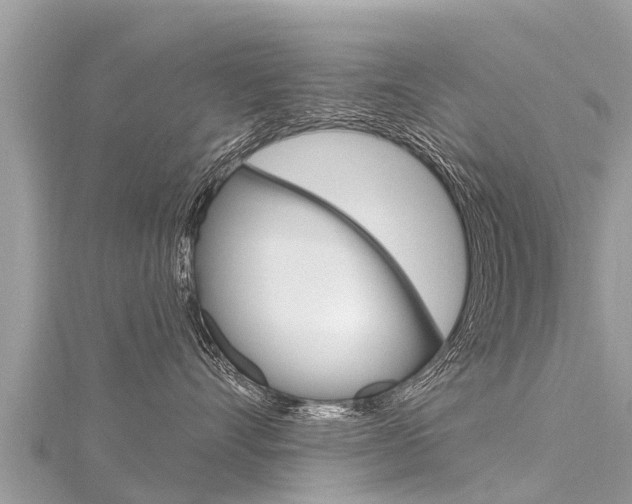 X0000116300528200911301016