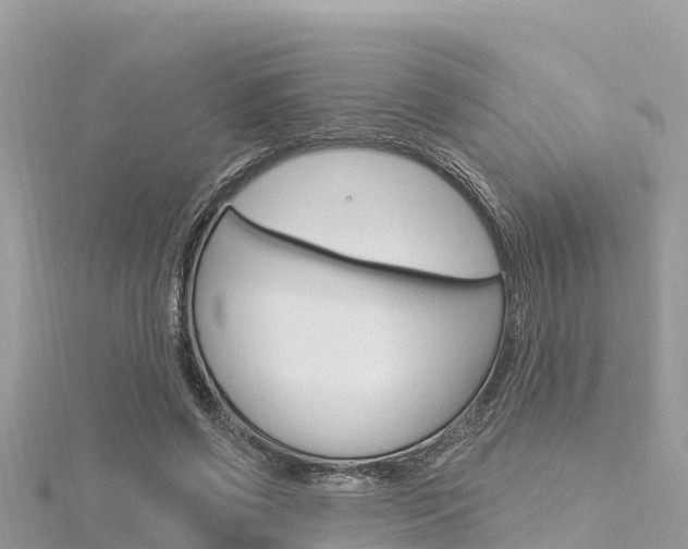 X0000116300542200911301016