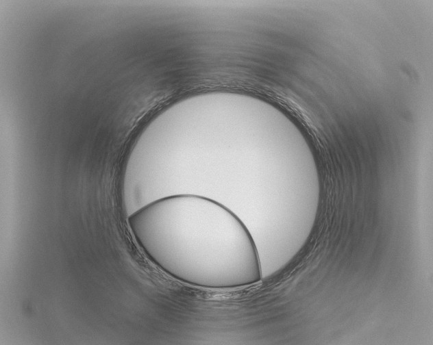 X0000116300546200911301016