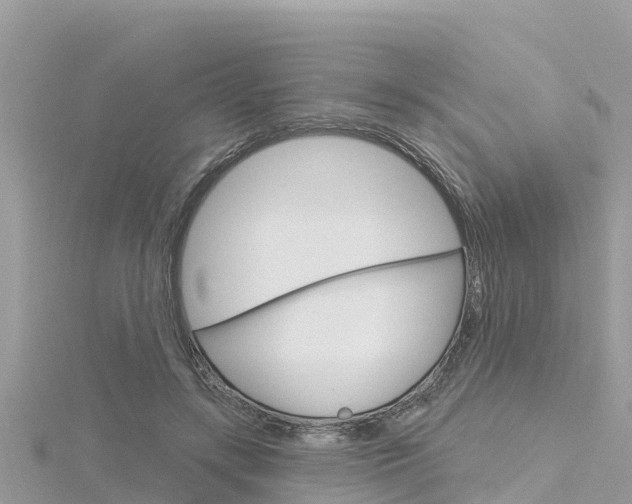 X0000116300547200911301016