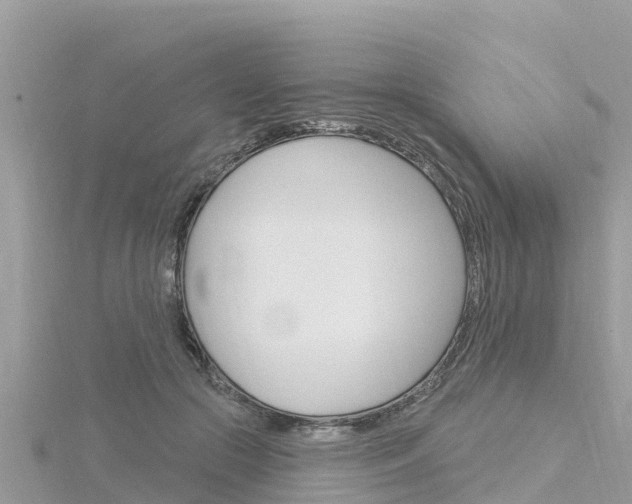 X0000116300553200911301016