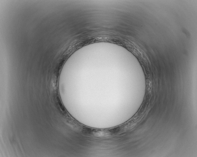 X0000116300561200911301016