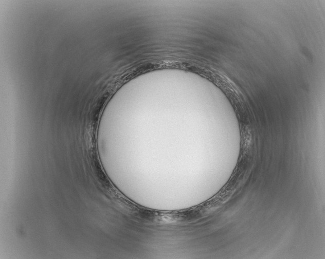 X0000116300565200911301016