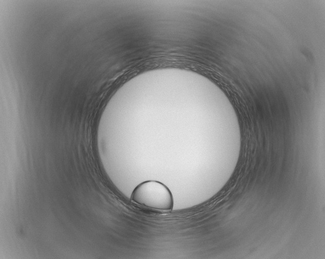 X0000116300566200911301016