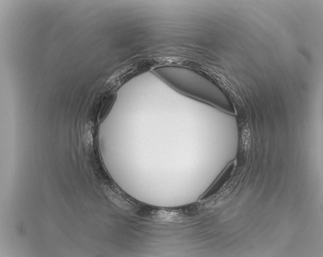 X0000116300570200911301016