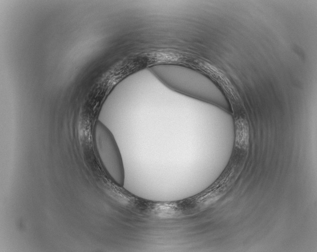 X0000116300573200911301016