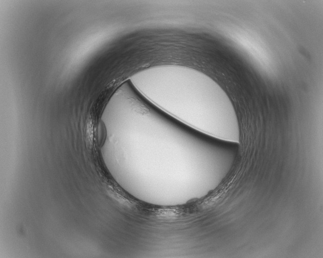 X0000116300574200911301016