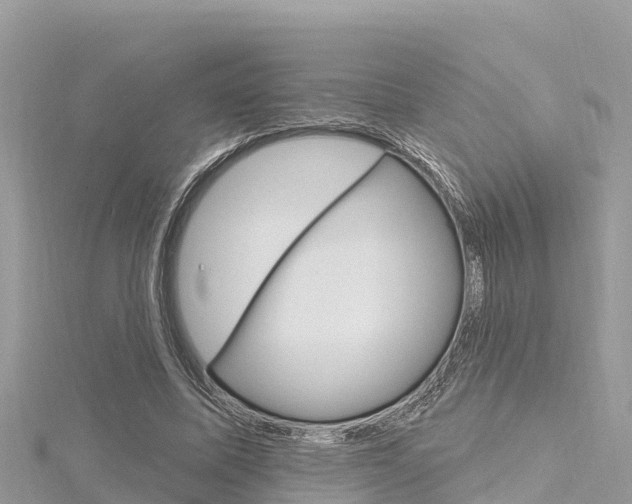 X0000116300587200911301016