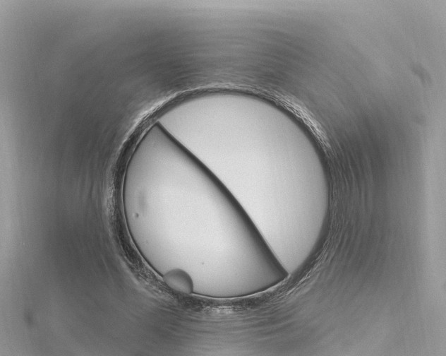 X0000116300588200911301016