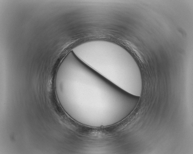 X0000116300596200911301016