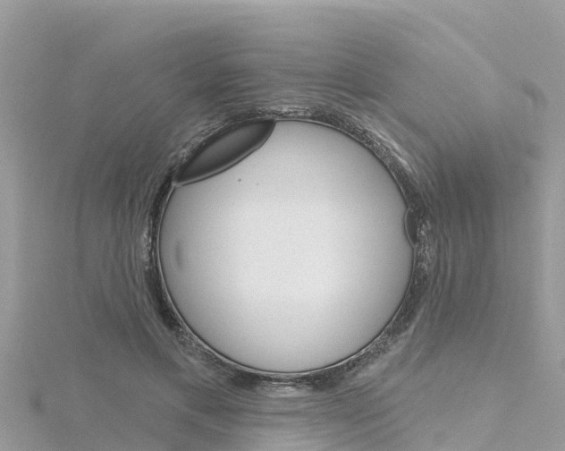 X0000116300597200911301016