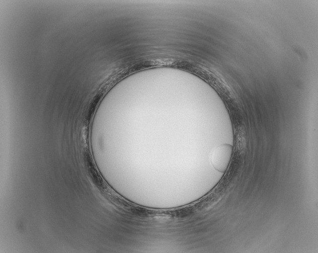 X0000116300598200911301016