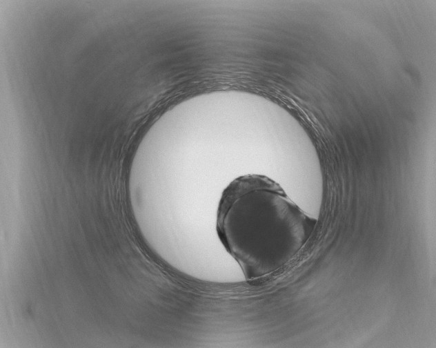 X0000116300613200911301015