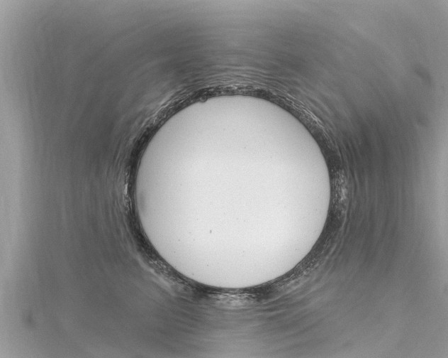 X0000116300615200911301015