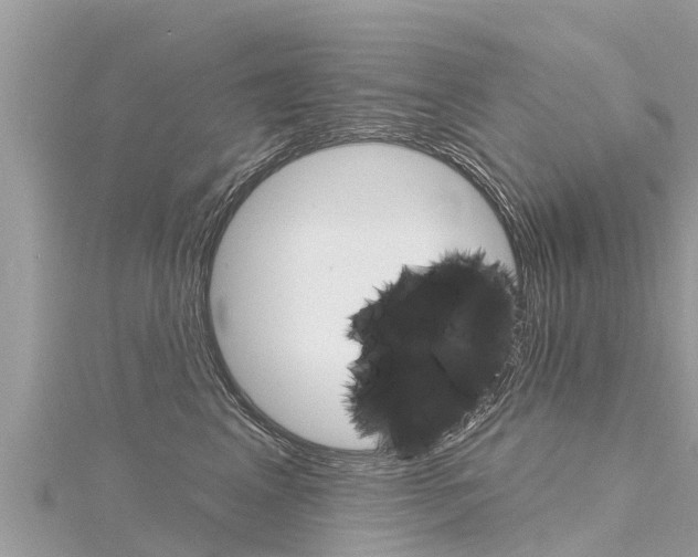 X0000116300617200911301015