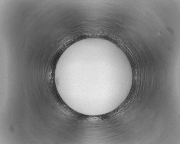 X0000116300619200911301015